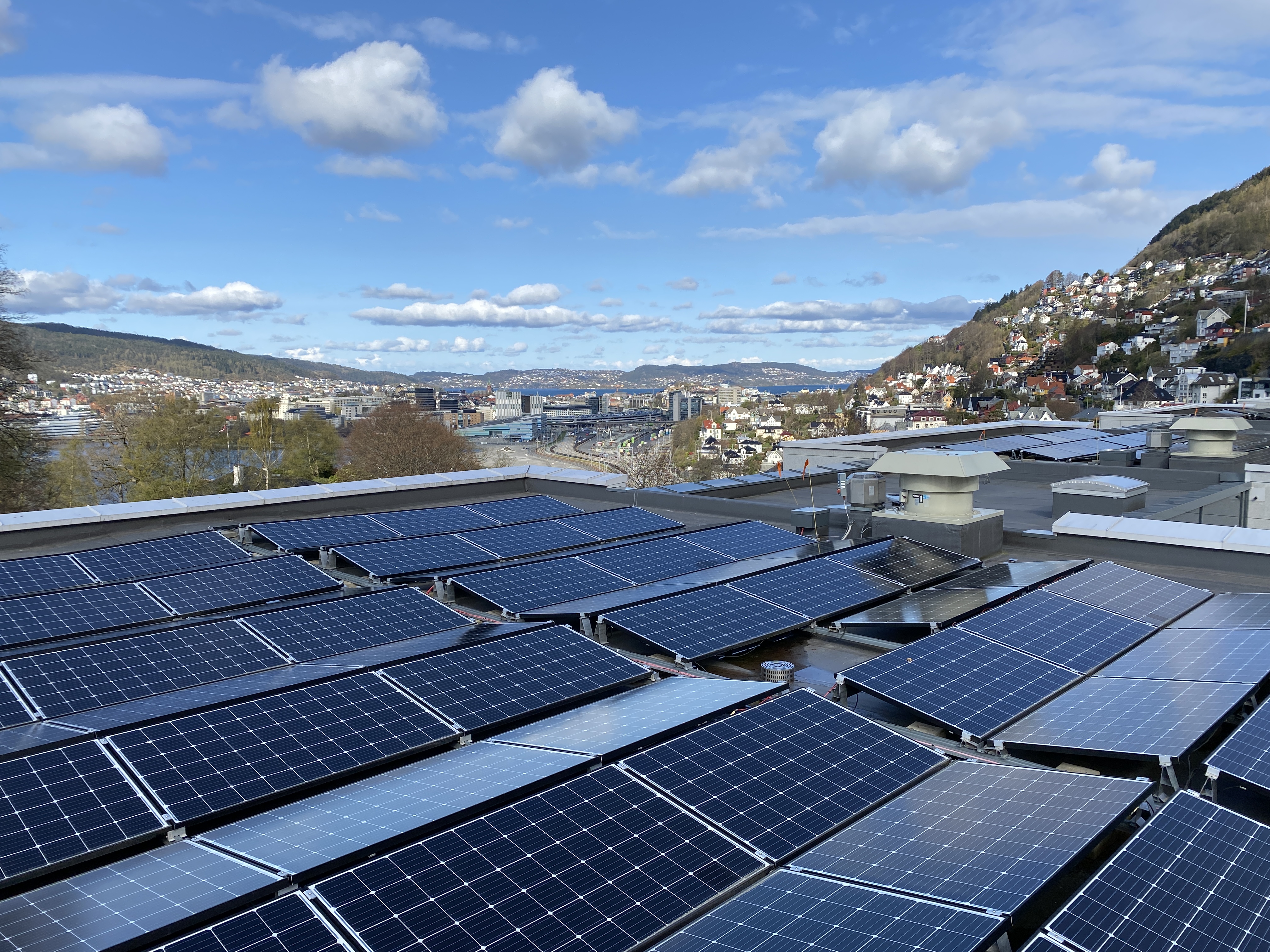 Alrek health cluster