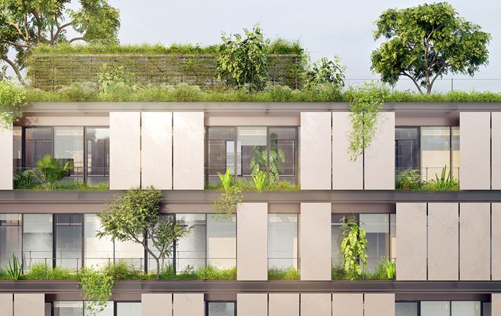 Green Roof