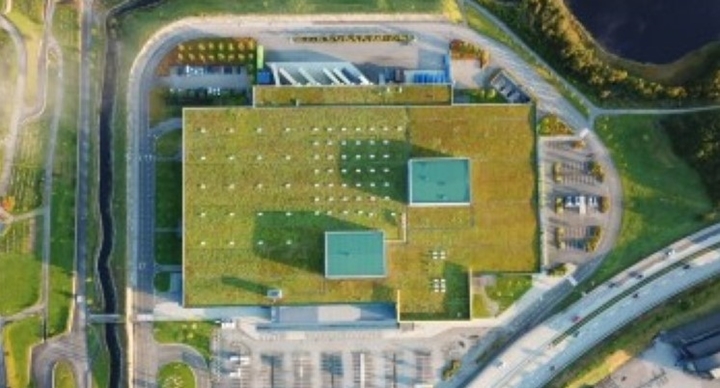 Extensive green roofs