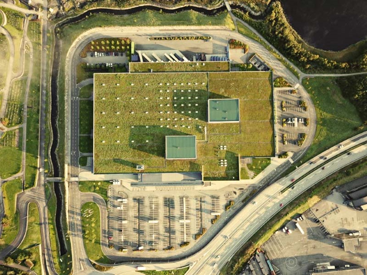 Green Roofs